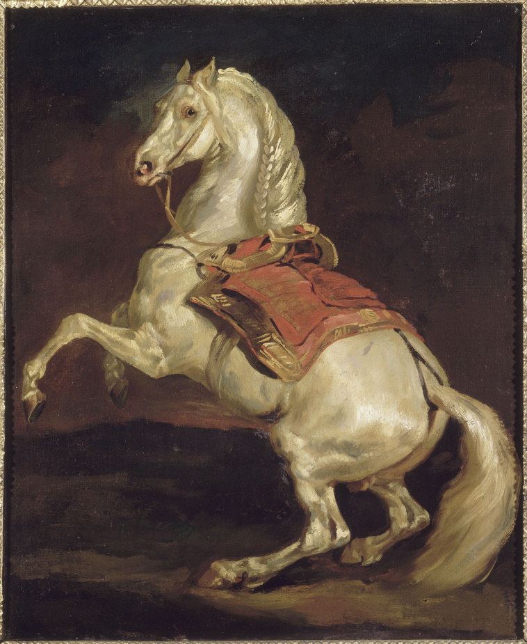 Image de l'oeuvre Cheval cabré dit Tamerlan de Jean Louis Théodore Géricault
