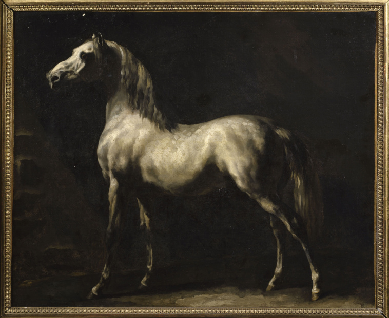 Image de l'oeuvre Cheval gris de Jean Louis Théodore Géricault