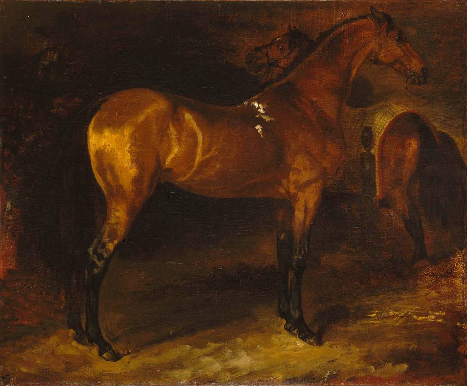 Image de l'oeuvre Cheval espagnol dans une écurie de Jean Louis Théodore Géricault