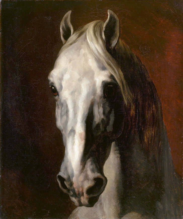 Image de l'oeuvre cheval blanc (tête de) de Jean Louis Théodore Géricault