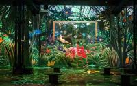 Visuel de l'exposition Le Douanier Rousseau, au pays des rêves
