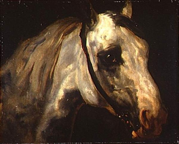 Image de l'œuvre Tête de cheval blanc réalisée par l'artiste Horace Vernet. L'œuvre est exposée à un musée.