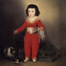 Don Manuel Osorio Manrique de Zuñiga de Goya