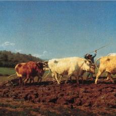 le labourage nivernais de Rosa Bonheur