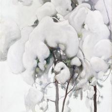 Pekka Halonen