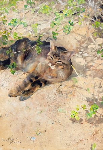 Visuel de la sélection Animaux