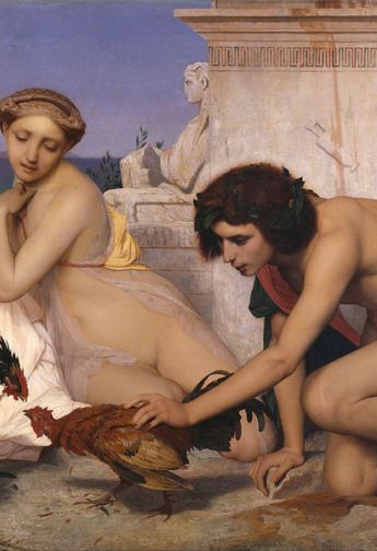 Visuel de la sélection Animaux