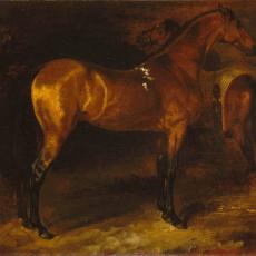 Cheval espagnol dans une écurie de Jean Louis Théodore Géricault
