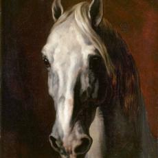 cheval blanc (tête de) de Jean Louis Théodore Géricault