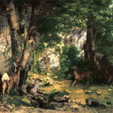 Remise de chevreuils au ruisseau de Plaisir-Fontaine