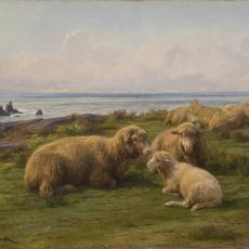 Moutons au bord de mer de Rosa Bonheur