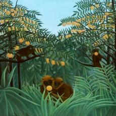 Les Tropiques de Henri Rousseau